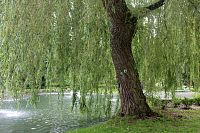 Městské sady jsou dnes součástí historického lázeňského centra Františkových Lázní, které je chráněno jako městská památková rezervace.