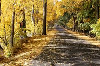 Lesopark Amerika se rozkládá na jihozápadním okraji Františkových Lázní a přímo navazuje na historické lázeňské parky města.