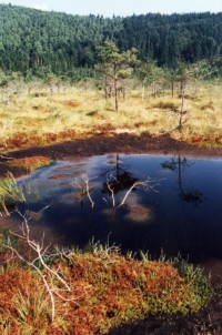 Kráterové jezero Sfinta Ana a Mlašina Mohoš