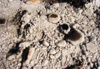 Slanic - Solný kras - sůl na kamenech