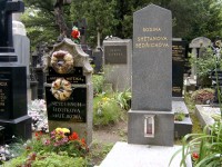 Praha - Vyšehradský hřbitov se Slavínem