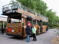 Večerní safari v ZOO Dvůr Králové - safaribus
