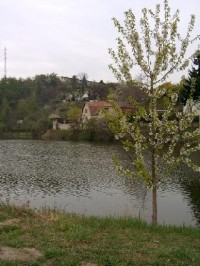 Libocký rybník 4