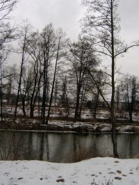 Řeka Ohře v zimě: Ohře v Karlových Varech - Doubí