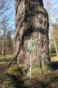 Dub 7: Podle oslavné básně na dalovické duby, kterou v roce 1810 napsal Theodor Körner, německý romantický básník. Jeho socha, dílo sochaře Ludvíka Tischlera, byla naproti dubu odhalena v r. 1914. Stáří dubu lze odhadovat na 900-1000 let.