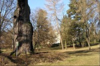 Park 54: Tento zámecký park se vyznačuje velmi starými a cennými stromy, dříve to byly především prastaré duby. Jeden z nich, tzv Körnerův je starý až 1000 let. Ještě počátkem minulého století tu stáli tři takoví velikáni, které básník Theodor Körner