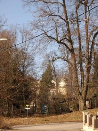 Park 57: Tento zámecký park se vyznačuje velmi starými a cennými stromy, dříve to byly především prastaré duby. Jeden z nich, tzv Körnerův je starý až 1000 let. Ještě počátkem minulého století tu stáli tři takoví velikáni, které básník Theodor Körner