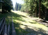 Lesní cesta: pohled od rozcestníku na naznačenou lesní cestu,jihozádadním směrem.