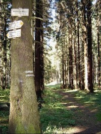 Rozcestí: pohled na rozcestník a na zeleně značenou cestu k rozcestí Pod Lopatou