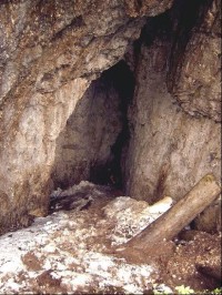Jeskyně Barsa