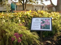 Záhonky s popisky: v zámecké zahradě je sbírka rostlin, pečlivě označená
