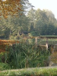 Výpusť rybníka: výpusť rybníka a altán na protějším břehu - v obci Libochovičky