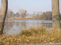 Červený rybník: Na jihu rozvodnice pramení především Loděnice, která napájí systém mšeckých rybníků Bucký, Punčochu, Mlýnský, Pilský, Červený a Lodenický rybník. Odvodňuje je řeka Berounka. Další rybníky byly vybudovány na Pozdeňském potoce (např. Ža