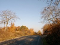 Špičatý vrch: silnice svažující se na sever, k obci Loděnice