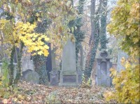 Hřbitov v lese: Původní židovský hřbitov byl v lese zvaném Borek