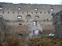 Tvrz ve Vyšehořovicích - zbytky palácových zdí