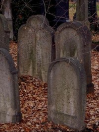 židovský hřbitov - náhrobky
