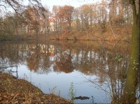 Pohled ke Kamenici: Na území obce Kamenice se nachází několik památek, jež jsou evidovány v seznamu nemovitých kulturních památek ČR.