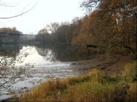 Dvorský rybník na jihu obce: Hydrologicky spadá toto území do povodí Sázavy, kam vody odvádí Kamenický potok.