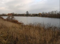Hrušovský rybník