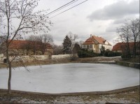 Rybník v obci Milčeves