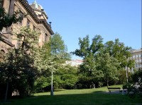 Čelakovského sady a Národní Muzeum