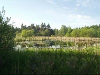 rybník Hranečník
