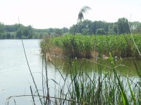zámecký rybník