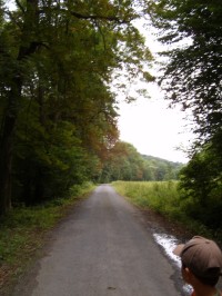 Spodní rozcestí: asfaltka vedoucí údolím až do Mokrých Lazců
