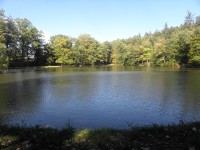 Raduň - rybník Kameník