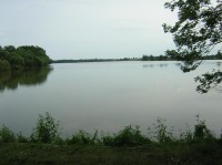 Bošilecký rybník