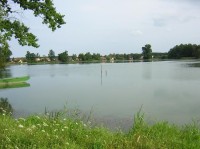 Bošilecký rybník