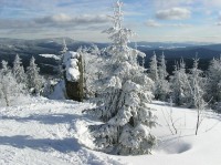 Pohled do Čech: Zimní pohled z vrcholu špičáku