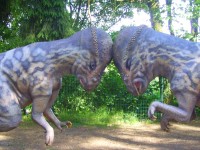 DinoPark-jedinečný zabavný park