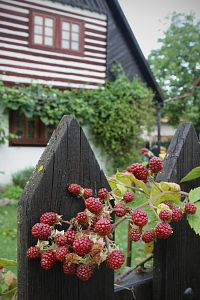 VESEC u Sobotky - roubenky - vesnická památková rezervace 2020