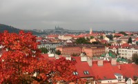 Praha  z Vyšehradu