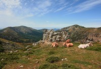 Cestou k Lac de Nino - Korsika