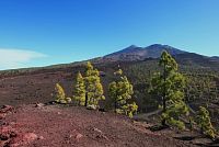 Mirador de Sámara - (z Montaña de Sámara) pohled na  Pico Del Teide. Kanárské ostrovy -Tenerife