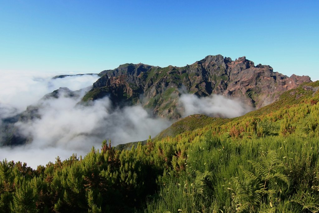 MADEIRA - PICO RUIVO, PICO DO ARIEIRO, SANTANA, historie, národní symboly