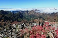 Výhledy z Pico Ruivo (Červeného vrchu) do údolí. Pico Ruivo je s výškou 1 862 m. n. m. nejvyšším vrcholem Madeiry a třetí nejvyšší horou Portugalska. Krajina po požárech z léta 2024. Santana - Faial, region Madeira, Portugalsko. Červenec 2025