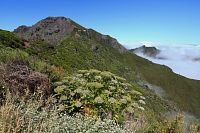 Pico Ruivo (Červený vrch). Je s výškou 1 862 m. n. m. nejvyšším vrcholem Madeiry a třetí nejvyšší horou Portugalska. V popředí Casa de Abrigo do Pico Ruivo - chata pod touto nejvyšší horou. Santana - Faial, region Madeira, Portugalsko