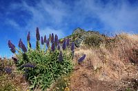 Cestou na Pico do Arieiro (1818 m.n.m.) - třetí nejvyšší bod ostrova Madeira