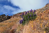 Cestou na Pico do Arieiro (1818 m.n.m.) - třetí nejvyšší bod ostrova Madeira