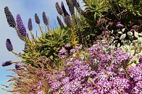 Cestou na Pico do Arieiro (1818 m.n.m.) - třetí nejvyšší bod ostrova Madeira
