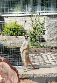 Hospoda v Biskoupkách -  ZOO  19.6.2011