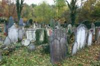 Boskovice - židovský hřbitov  podzim 2016
