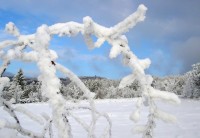 Lelekovice  - zima 2007 - v pozadí Babí lom - rozhledna