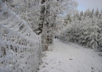 Lelekovice  - zima 2007