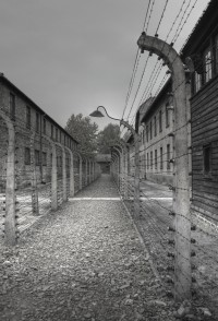 Auschwitz I -  trestání -  další způsob vyhlazování. Tresty  za cokoli a vlastně za nic. Kromě  střílení a věšení  také bičování a věšení lidí za vykroucené ruce dozadu.