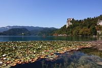 Hrad BLED (Blejski grad), jezero Bled - Slovinsko 2025